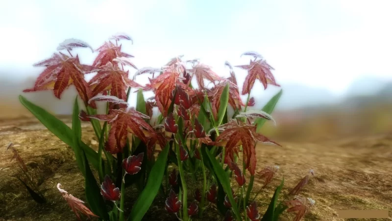 HD Mountain flowers red blue purple