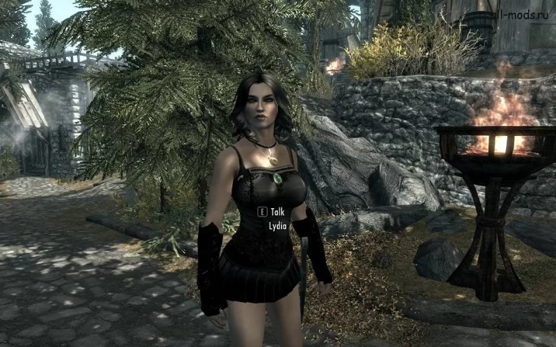 Skyrim mods 18