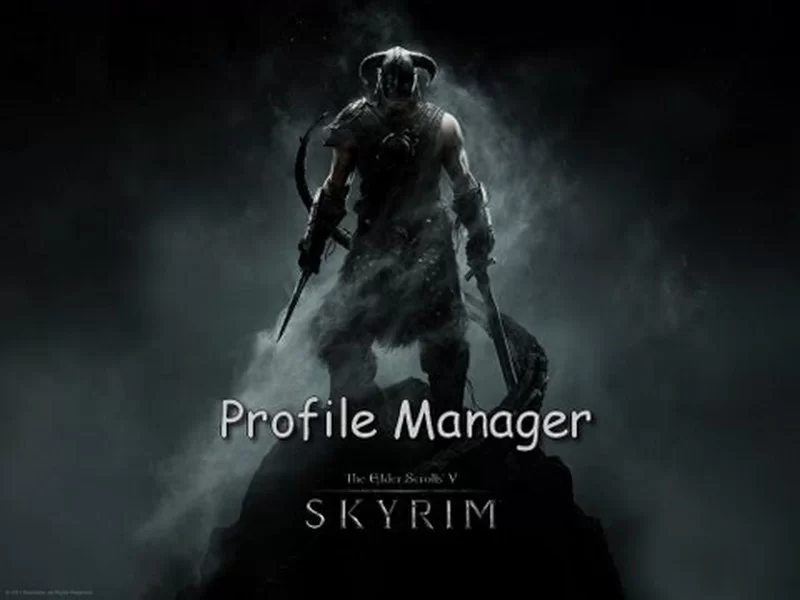 Best Profile Manager/Менеджер Профилей