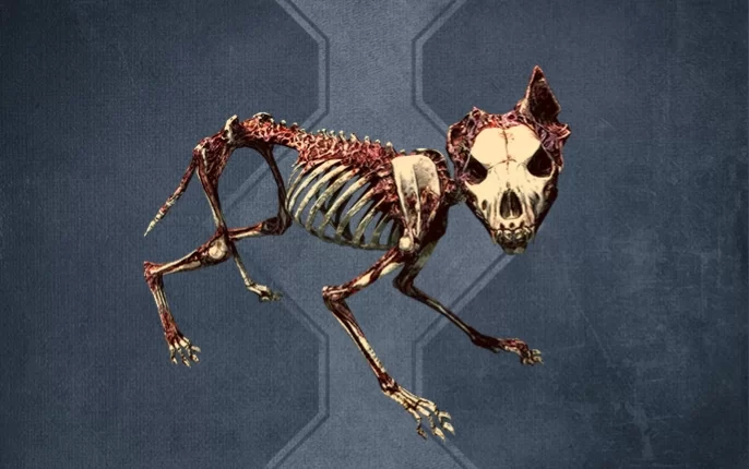 Bone Wolf