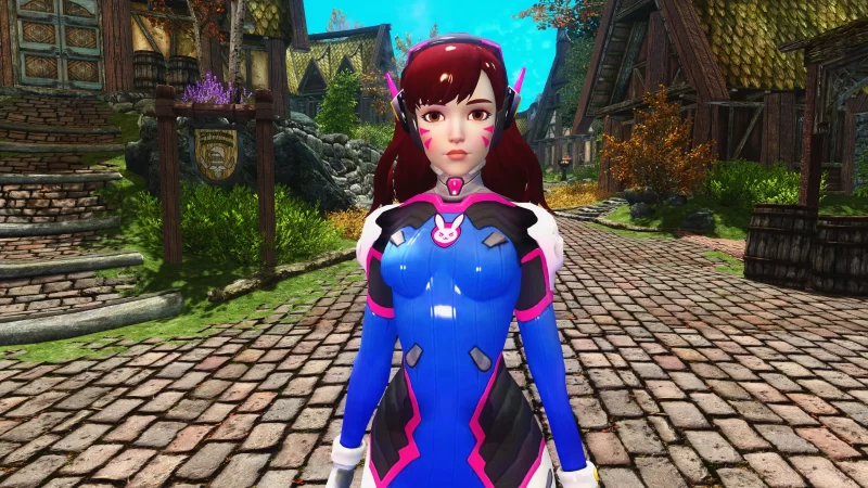 D.Va Follower