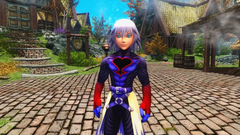 KH Dark Riku Follower