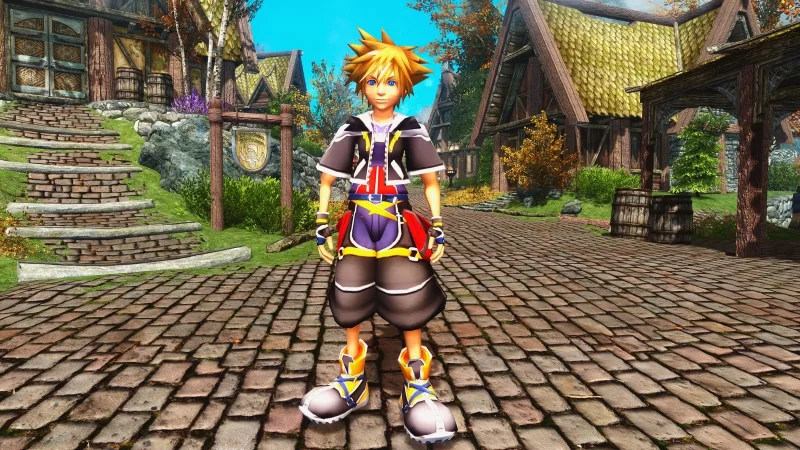 Kingdom Hearts 2 Sora Follower