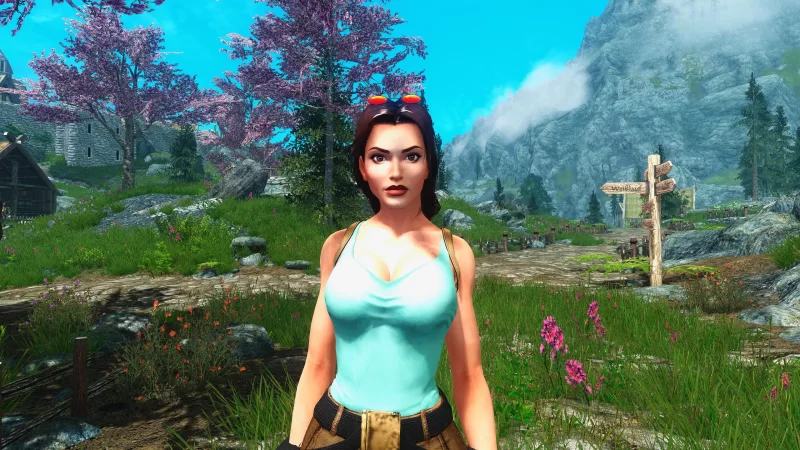 Lara Croft Classic Follower v1