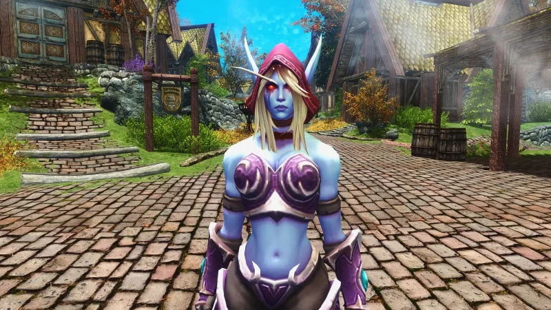 Sylvanas Follower